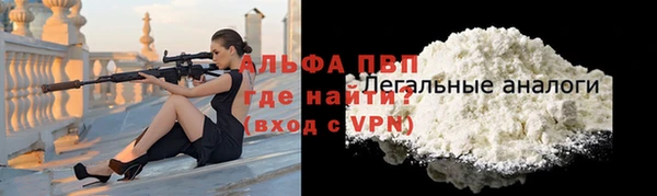 гидра Тайга