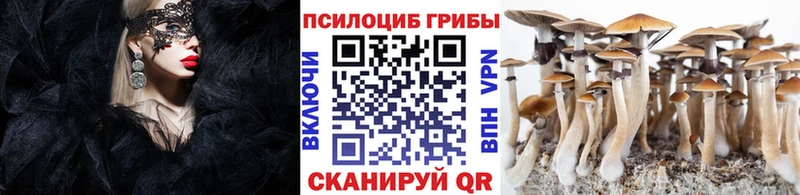 купить наркотик  гидра ССЫЛКА  Псилоцибиновые грибы Psilocybe  Печоры 