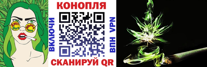 Каннабис планчик  Печоры 